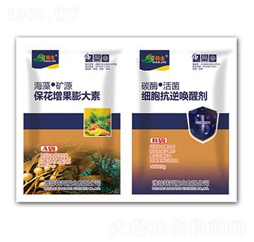 �������������-��(x��)����