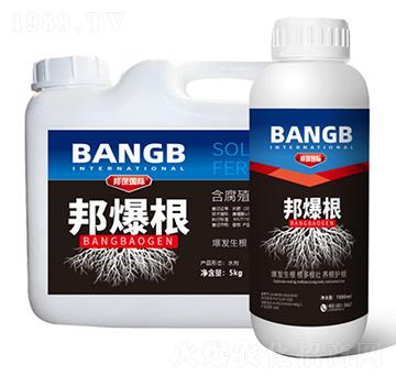 ����ֳ��ˮ�ܷ���-���-����H