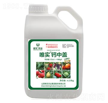 Ψ�����}���w