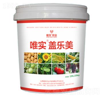 Ψ�����w����