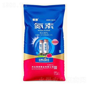 �������������͵���-����-�͸��ʘI(y��)