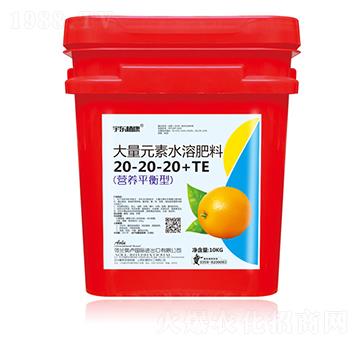 �I(y��ng)�B(y��ng)ƽ���ʹ���Ԫ��ˮ�ܷ���20-20-20+TE-��|ֲ��-ʥ��ʘI(y��)