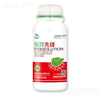 �߶˲��~�I�B(y��ng)������-��ѿ���h-��|ֲ��-ʥ��ʘI(y��)