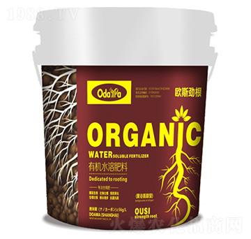 �ЙCˮ�ܷ���-�W˹�Ÿ�(�۹Ȱ�����)-�W����