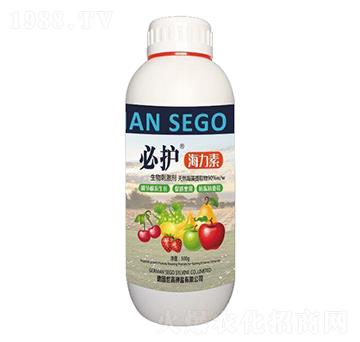 ������-���o-����������