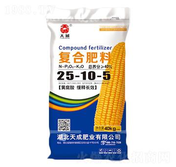 ���׌�(zhu��n)�Ï�(f��)�Ϸ���25-10-5-���-��˹��