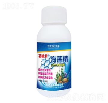 ���徫-�|����-����������