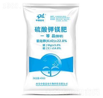 ������V��-�е����r(n��ng)