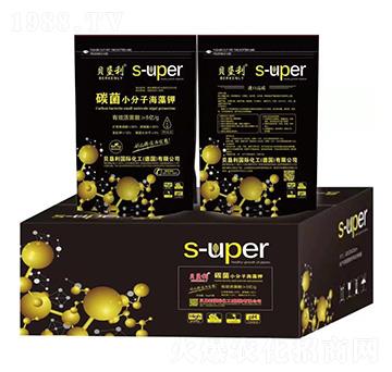 ̼��С���Ӻ����-ؐ����