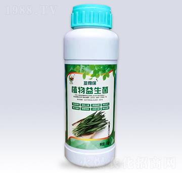 �²ˌ���ֲ��������-��¡���