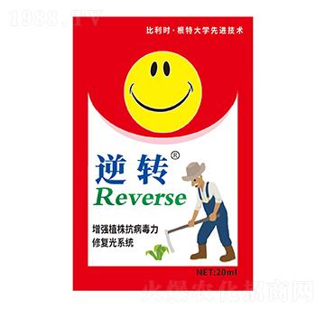 ���D-̽��������