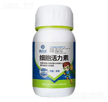 ���������أ�ƿ��-���˺�