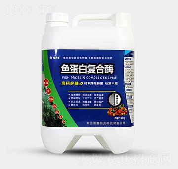 5kg�~���׏�(f��)��ø-��ِ��