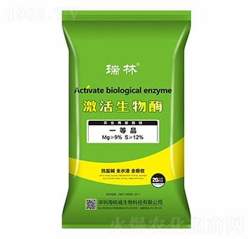 ��������ø-����-���������