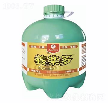 ���w����-�B(y��ng)��(l��)��-�W�׵�˹