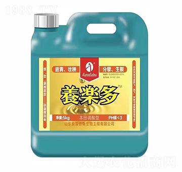 5kg���w����-�B(y��ng)��(l��)��-�W�׵�˹