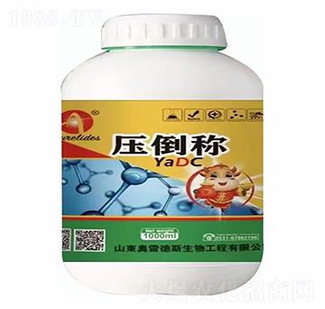 �����Q(ch��ng)-�W�׵�˹