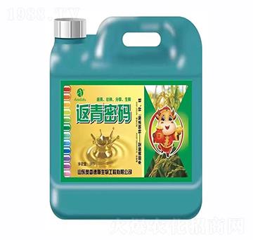 �����ܴa���w����-�W�׵�˹