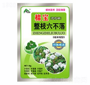 �ތ���֦������-������