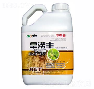 �����S���ι��ͣ�-������