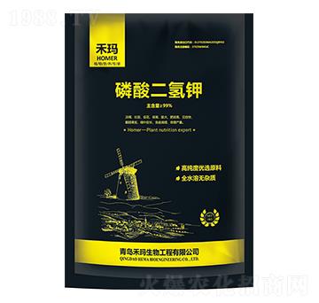 ��������-�̬�����