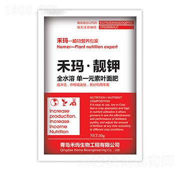 �̬����n�-�̬�����