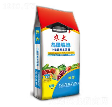 �����{(di��o)�턩ϵ��-�����}��-�r(n��ng)�]�ʘI(y��)