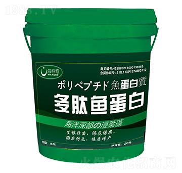 �����~����-������