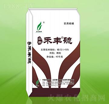 ���S��-�r��-�º��S