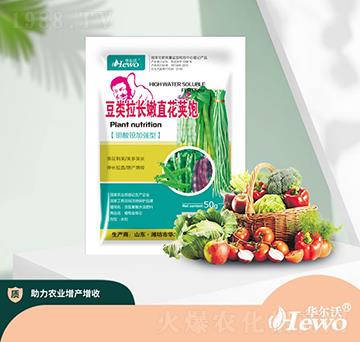 ������L��ֱ���v�-�A����