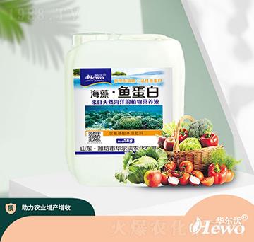 ���塤�~����-�A����