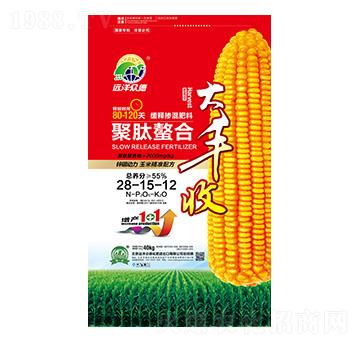 �������Ͼ�ጓ������28-15-12-���S��-�h�󱊵�