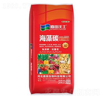 ΢�������-����̼-��������