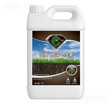 �@�������~ï��-������