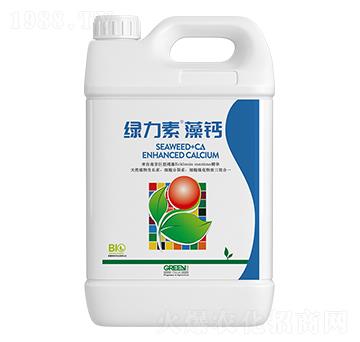 �G�������}-�����ط�