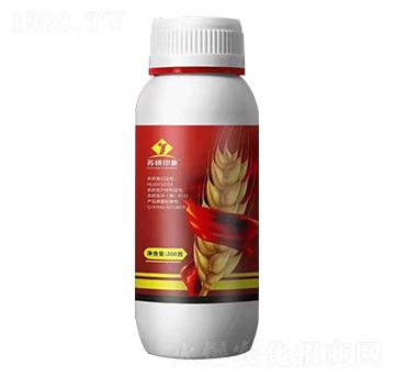 11%�������x(ch��ng)��-�K��ӡ��