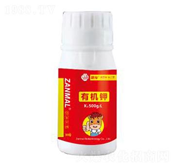 �ЙC�300g-ٝ��