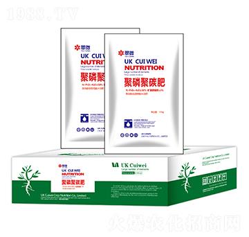 ���׾�̼��-��΢