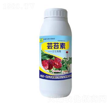 �|̦�����ߌ���-��������