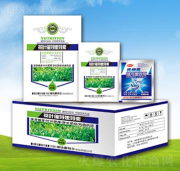 ���~��ѿ��ѿ��-���ؠ�