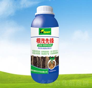 ��ï���h�~���-���ؠ�