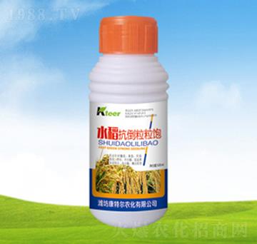 ˮ�����������-���ؠ�