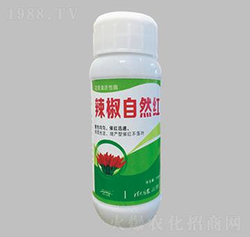 ������Ȼ�t-������r