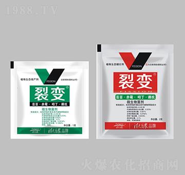 ֲ�����B(t��i)���a��-��׃-