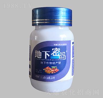 ���¹�����������a��-