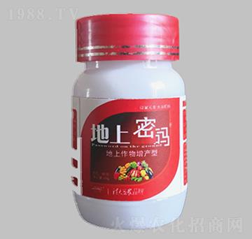 ���Ϲ�����������a-��