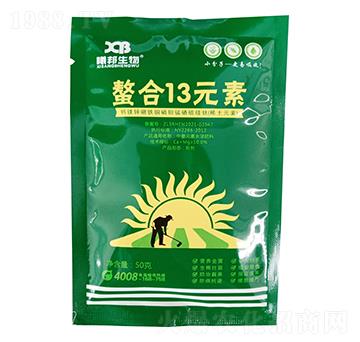 ���b����13Ԫ��-�ذ�����