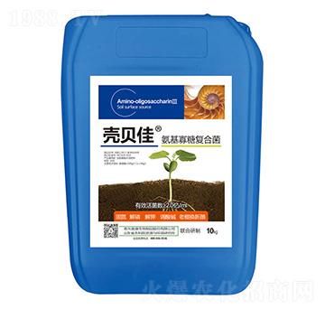 �������ǏͺϾ�-��ؐ��-�ļ����r(n��ng)�I(y��)