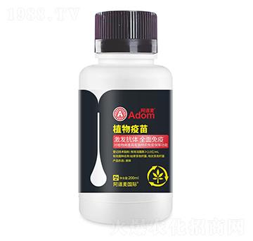 ֲ������-������