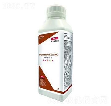 �w����Һ�w�}�V-�ۃ�